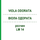 ВИОЛА ОДОРАТА (VIOLA ODORATA) LM 14 раствор 10 мл - Гомеопатия ARCANA DR.SEWERIN