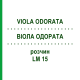 ВИОЛА ОДОРАТА (VIOLA ODORATA) LM 15 раствор 10 мл - Гомеопатия ARCANA DR.SEWERIN