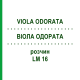 ВИОЛА ОДОРАТА (VIOLA ODORATA) LM 16 раствор 10 мл - Гомеопатия ARCANA DR.SEWERIN