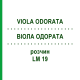 ВИОЛА ОДОРАТА (VIOLA ODORATA) LM 19 раствор 10 мл - Гомеопатия ARCANA DR.SEWERIN