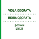 ВИОЛА ОДОРАТА (VIOLA ODORATA) LM 21 раствор 10 мл - Гомеопатия ARCANA DR.SEWERIN