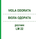 ВИОЛА ОДОРАТА (VIOLA ODORATA) LM 22 раствор 10 мл - Гомеопатия ARCANA DR.SEWERIN