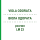 ВИОЛА ОДОРАТА (VIOLA ODORATA) LM 23 раствор 10 мл - Гомеопатия ARCANA DR.SEWERIN