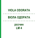 ВИОЛА ОДОРАТА (VIOLA ODORATA) LM 4 раствор 10 мл - Гомеопатия ARCANA DR.SEWERIN