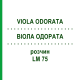 ВИОЛА ОДОРАТА (VIOLA ODORATA) LM 75 раствор 10 мл - Гомеопатия ARCANA DR.SEWERIN