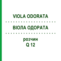 ВИОЛА ОДОРАТА (VIOLA ODORATA) Q 12 раствор 15 мл - Гомеопатия GUDJONS