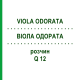 ВІОЛА ОДОРАТА (VIOLA ODORATA) Q 12 розчин 15 мл - Гомеопатія GUDJONS
