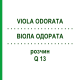 ВІОЛА ОДОРАТА (VIOLA ODORATA) Q 13 розчин 15 мл - Гомеопатія GUDJONS