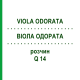 ВІОЛА ОДОРАТА (VIOLA ODORATA) Q 14 розчин 15 мл - Гомеопатія GUDJONS