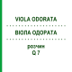 ВІОЛА ОДОРАТА (VIOLA ODORATA) Q 7 розчин 15 мл - Гомеопатія GUDJONS
