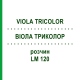 ВИОЛА ТРИКОЛОР (VIOLA TRICOLOR) LM 120 раствор 10 мл - Гомеопатия ARCANA DR.SEWERIN