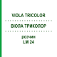 ВИОЛА ТРИКОЛОР (VIOLA TRICOLOR) LM 24 раствор 10 мл - Гомеопатия ARCANA DR.SEWERIN
