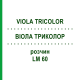 ВИОЛА ТРИКОЛОР (VIOLA TRICOLOR) LM 60 раствор 10 мл - Гомеопатия ARCANA DR.SEWERIN
