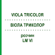 ВИОЛА ТРИКОЛОР (VIOLA TRICOLOR) LM VI раствор 10 мл - Гомеопатия DHU