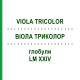ВИОЛА ТРИКОЛОР (VIOLA TRICOLOR) LM XXIV глобули 5 г - Гомеопатия DHU
