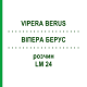 ВИПЕРА БЕРУС (VIPERA BERUS) LM 24 раствор 10 мл - Гомеопатия ARCANA DR.SEWERIN