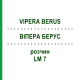 ВИПЕРА БЕРУС (VIPERA BERUS) LM 7 раствор 10 мл - Гомеопатия ARCANA DR.SEWERIN