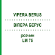 ВИПЕРА БЕРУС (VIPERA BERUS) LM 75 раствор 10 мл - Гомеопатия ARCANA DR.SEWERIN