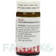ВИСКУМ ЭХИНАЦЕЯ (VISCUM ECHINACEA) глобули 20 г - Гомеопатия WALA HEILMITTEL