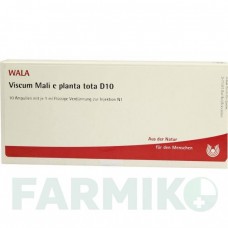 ВИСКУМ МАЛИ (VISCUM MALI) D 10 ампулы 10x1 мл - Гомеопатия WALA HEILMITTEL