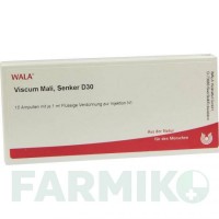ВИСКУМ МАЛИ (VISCUM MALI) D 30 ампулы 10x1 мл - Гомеопатия WALA HEILMITTEL