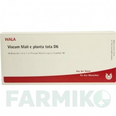 ВИСКУМ МАЛИ (VISCUM MALI) D 6 ампулы 10x1 мл - Гомеопатия WALA HEILMITTEL