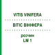 ВИТИС ВИНИФЕРА (VITIS VINIFERA) LM 1 раствор 10 мл - Гомеопатия ARCANA DR.SEWERIN