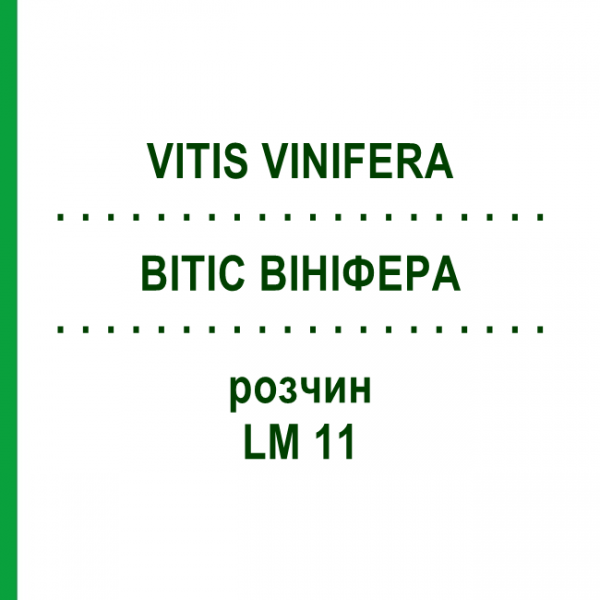 ВІТІС ВІНІФЕРА (VITIS VINIFERA) LM 11 розчин 10 мл - Гомеопатія ARCANA DR.SEWERIN