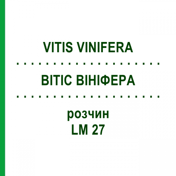 ВИТИС ВИНИФЕРА (VITIS VINIFERA) LM 27 раствор 10 мл - Гомеопатия ARCANA DR.SEWERIN