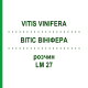 ВИТИС ВИНИФЕРА (VITIS VINIFERA) LM 27 раствор 10 мл - Гомеопатия ARCANA DR.SEWERIN