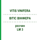 ВИТИС ВИНИФЕРА (VITIS VINIFERA) LM 3 раствор 10 мл - Гомеопатия ARCANA DR.SEWERIN