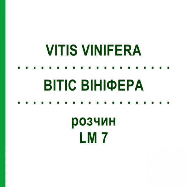 ВИТИС ВИНИФЕРА (VITIS VINIFERA) LM 7 раствор 10 мл - Гомеопатия ARCANA DR.SEWERIN