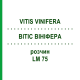 ВИТИС ВИНИФЕРА (VITIS VINIFERA) LM 75 раствор 10 мл - Гомеопатия ARCANA DR.SEWERIN