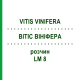 ВИТИС ВИНИФЕРА (VITIS VINIFERA) LM 8 раствор 10 мл - Гомеопатия ARCANA DR.SEWERIN