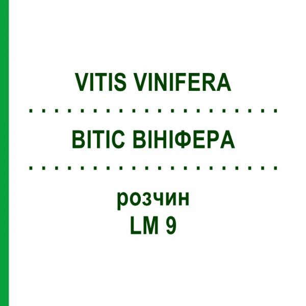 ВИТИС ВИНИФЕРА (VITIS VINIFERA) LM 9 раствор 10 мл - Гомеопатия ARCANA DR.SEWERIN