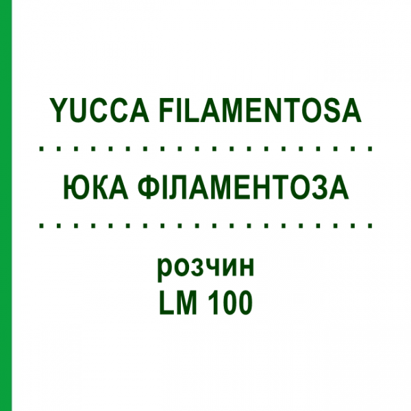 ЮККА ФИЛАМЕНТОЗА (YUCCA FILAMENTOSA) LM 100 раствор 10 мл - Гомеопатия ARCANA DR.SEWERIN