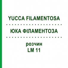 ЮККА ФИЛАМЕНТОЗА (YUCCA FILAMENTOSA) LM 11 раствор 10 мл - Гомеопатия ARCANA DR.SEWERIN