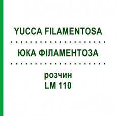 ЮКА ФІЛАМЕНТОЗА (YUCCA FILAMENTOSA) LM 110 розчин 10 мл - Гомеопатія ARCANA DR.SEWERIN