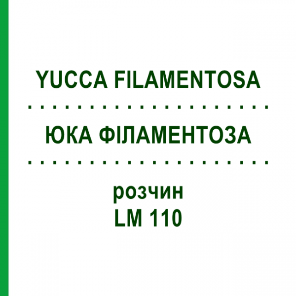 ЮККА ФИЛАМЕНТОЗА (YUCCA FILAMENTOSA) LM 110 раствор 10 мл - Гомеопатия ARCANA DR.SEWERIN