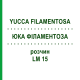 ЮККА ФИЛАМЕНТОЗА (YUCCA FILAMENTOSA) LM 15 раствор 10 мл - Гомеопатия ARCANA DR.SEWERIN