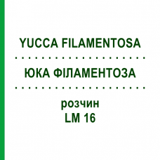 ЮККА ФИЛАМЕНТОЗА (YUCCA FILAMENTOSA) LM 16 раствор 10 мл - Гомеопатия ARCANA DR.SEWERIN