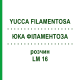 ЮККА ФИЛАМЕНТОЗА (YUCCA FILAMENTOSA) LM 16 раствор 10 мл - Гомеопатия ARCANA DR.SEWERIN
