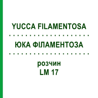ЮКА ФІЛАМЕНТОЗА (YUCCA FILAMENTOSA) LM 17 розчин 10 мл - Гомеопатія ARCANA DR.SEWERIN