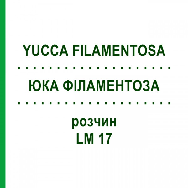 ЮККА ФИЛАМЕНТОЗА (YUCCA FILAMENTOSA) LM 17 раствор 10 мл - Гомеопатия ARCANA DR.SEWERIN
