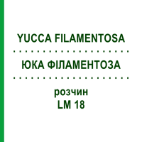 ЮККА ФИЛАМЕНТОЗА (YUCCA FILAMENTOSA) LM 18 раствор 10 мл - Гомеопатия ARCANA DR.SEWERIN
