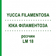ЮККА ФИЛАМЕНТОЗА (YUCCA FILAMENTOSA) LM 18 раствор 10 мл - Гомеопатия ARCANA DR.SEWERIN