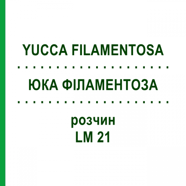 ЮККА ФИЛАМЕНТОЗА (YUCCA FILAMENTOSA) LM 21 раствор 10 мл - Гомеопатия ARCANA DR.SEWERIN