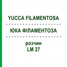 ЮКА ФІЛАМЕНТОЗА (YUCCA FILAMENTOSA) LM 27 розчин 10 мл - Гомеопатія ARCANA DR.SEWERIN