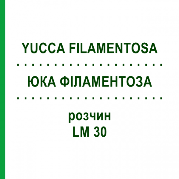 ЮККА ФИЛАМЕНТОЗА (YUCCA FILAMENTOSA) LM 30 раствор 10 мл - Гомеопатия ARCANA DR.SEWERIN