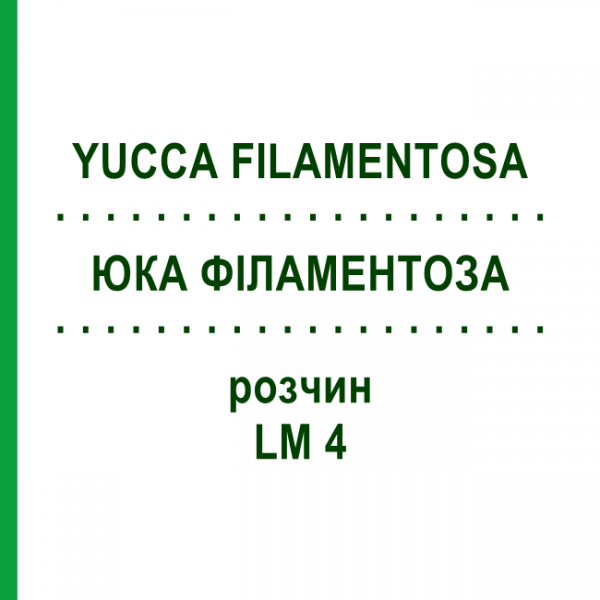 ЮККА ФИЛАМЕНТОЗА (YUCCA FILAMENTOSA) LM 4 раствор 10 мл - Гомеопатия ARCANA DR.SEWERIN